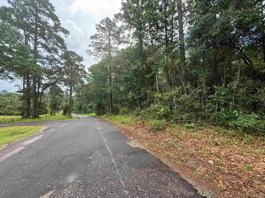 TBD Private Road 6328, Jasper, TX 75951 - #2