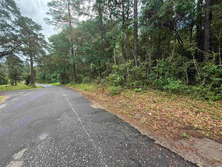 TBD Private Road 6328, Jasper, TX 75951 - #3