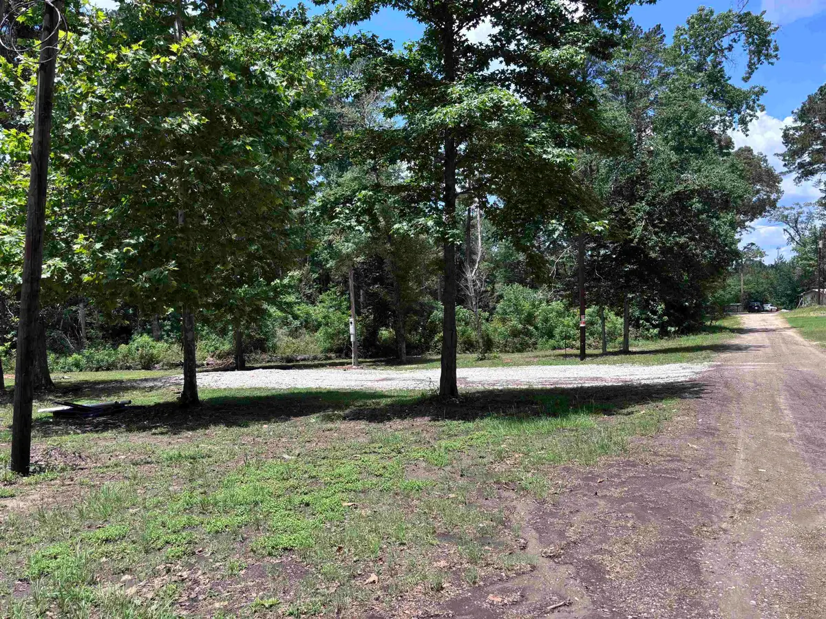 TBD N Cindy Street, Brookeland, TX 75931-4048 - #1