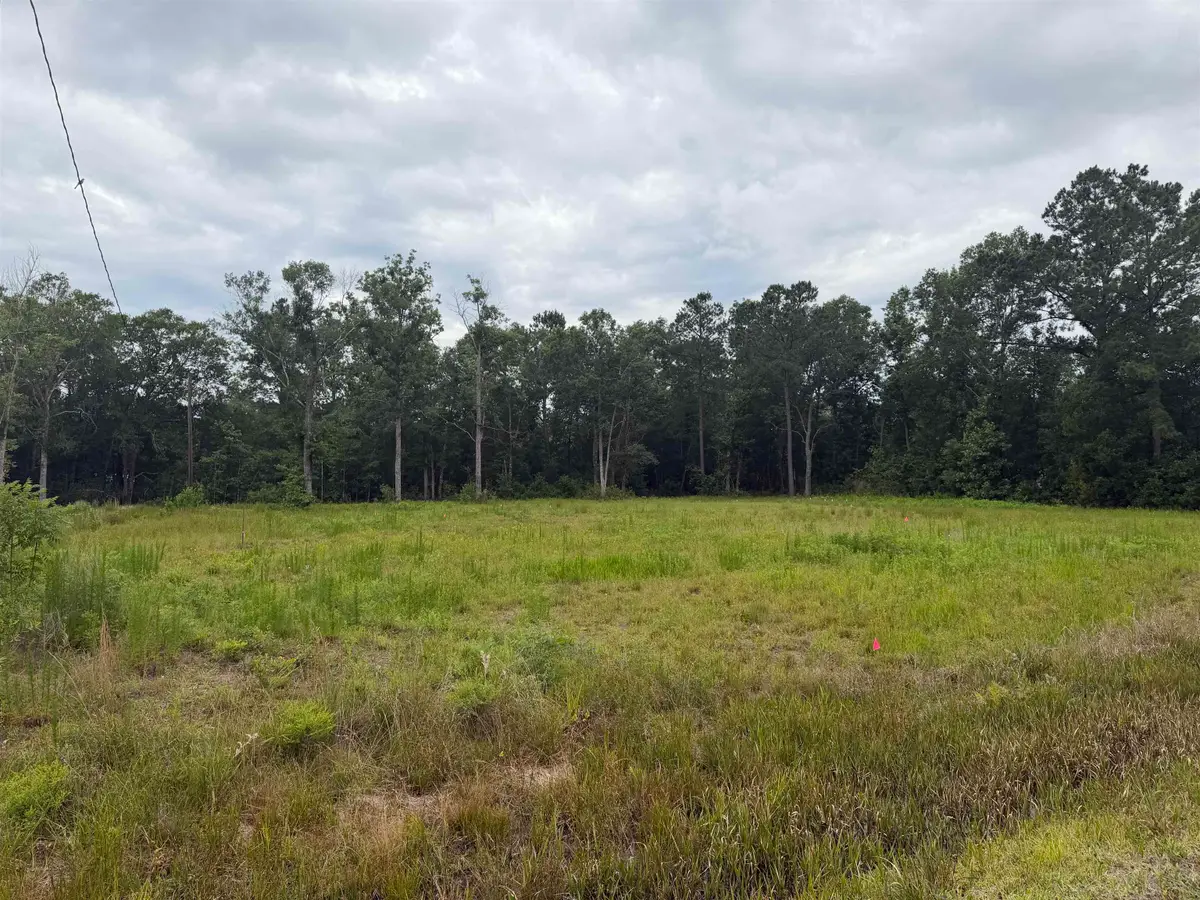 210 Shenandoah Road, Vidor, TX 77662 - #1