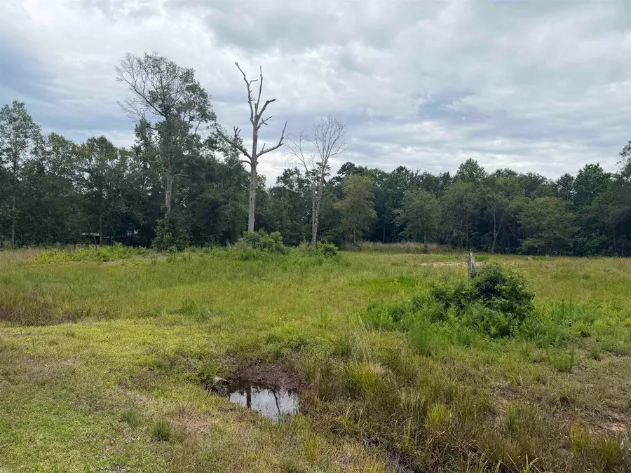 210 Shenandoah Road, Vidor, TX 77662 - #2