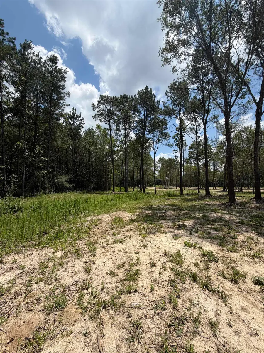 0000 Lawrence Rd., Orange, TX 77630 - #3