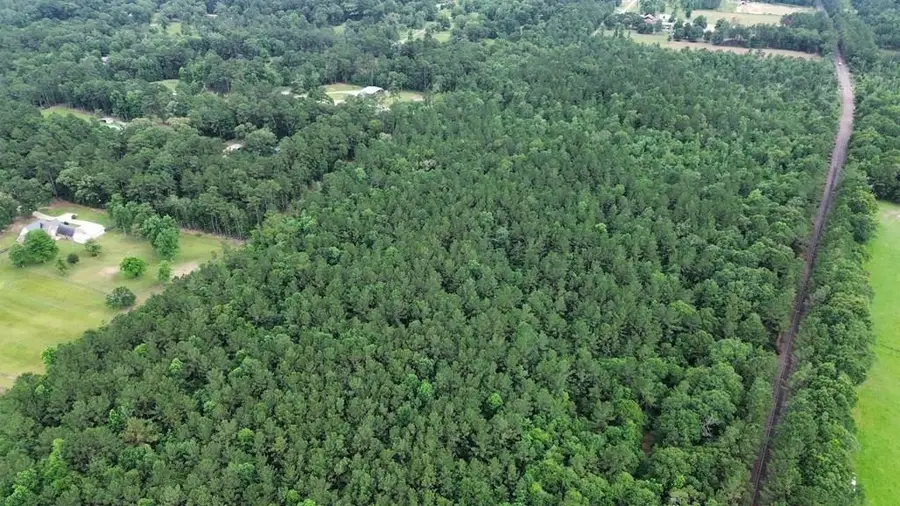 9087 County Road 451, Kirbyville, TX 75956 - #3