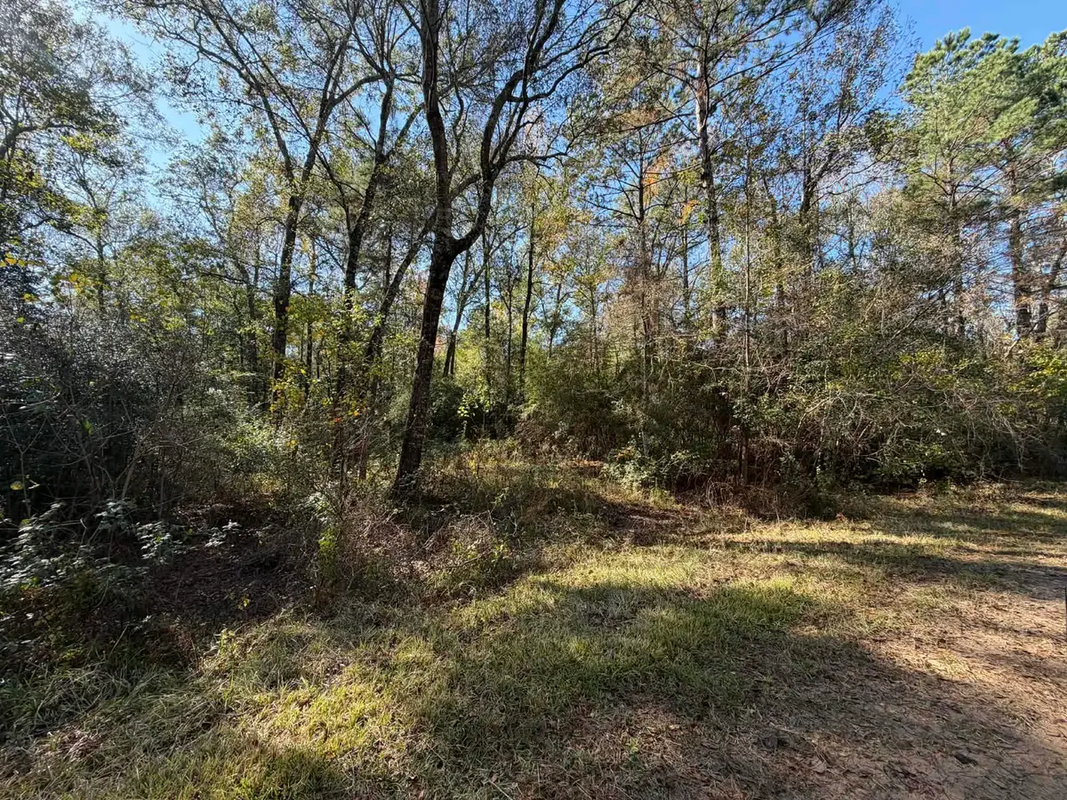Lot 8A Private Road 2055, Hull, TX 77564 - #1