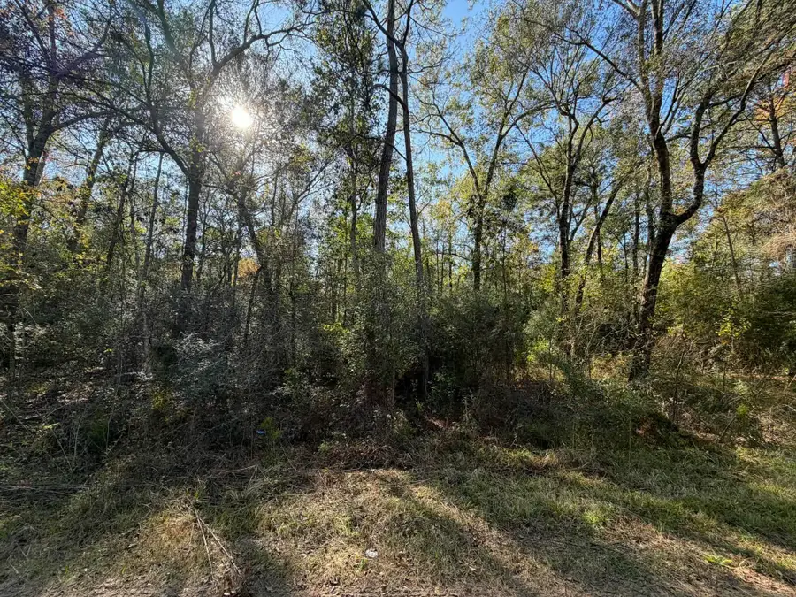 Lot 8A Private Road 2055, Hull, TX 77564 - #3
