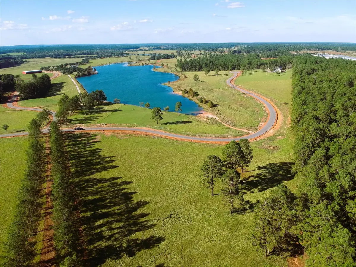 Lot 18 E Lakeland Court, Hillister, TX 77624-9999 - #1