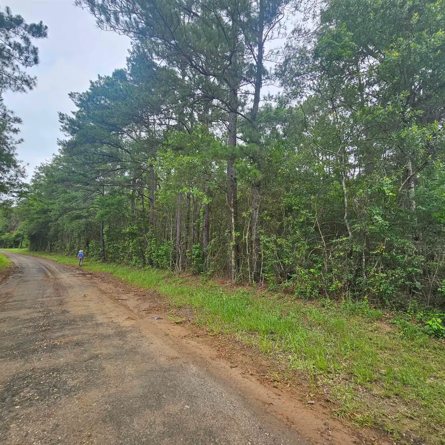 000 County Road 3110, Call, TX 75993 - #2