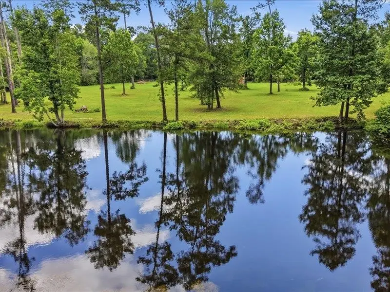 362 Briarwood St, Silsbee, TX 77656 - #3