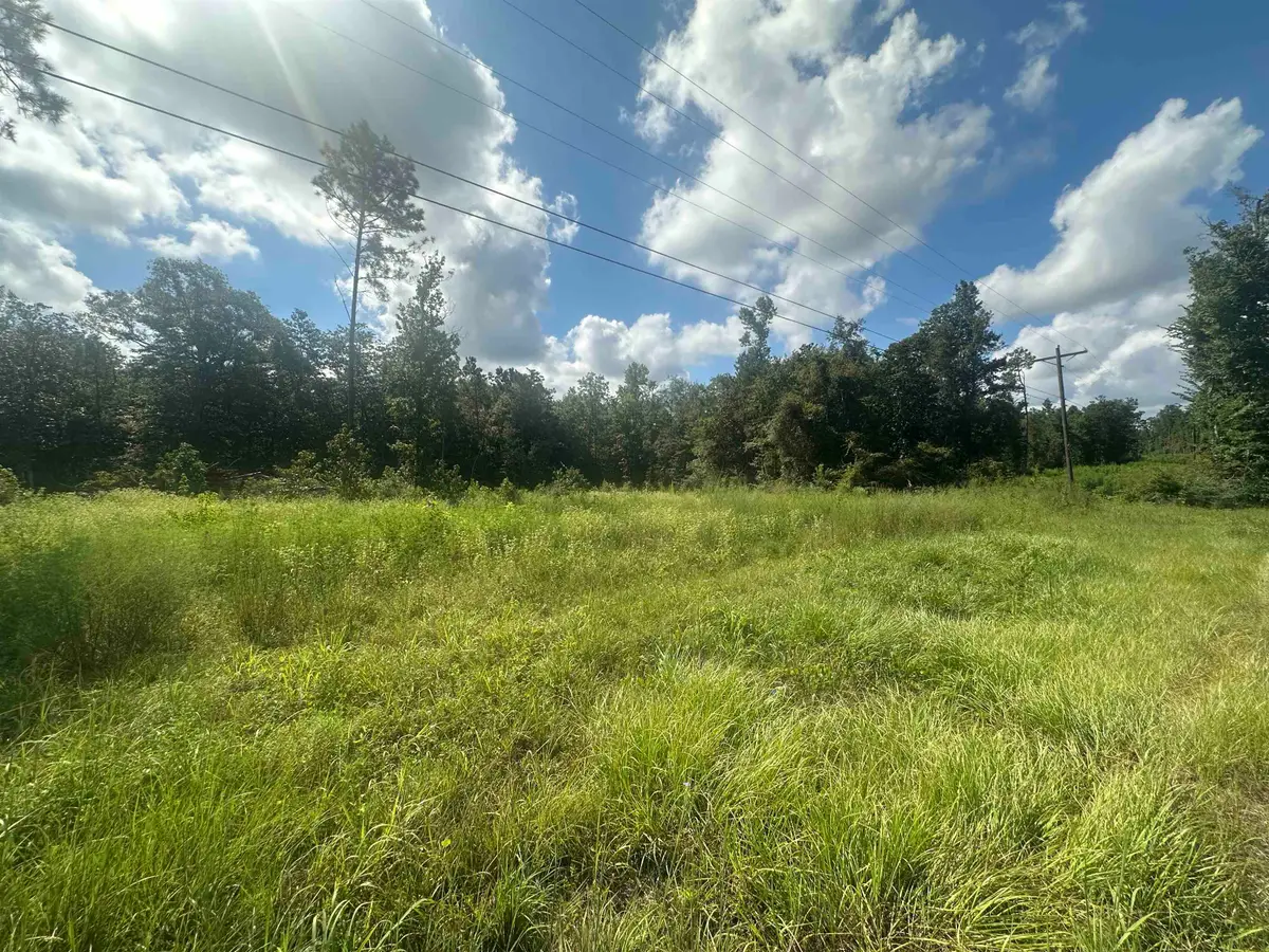 TBD FM 1005, Jasper, TX 75951 - #1