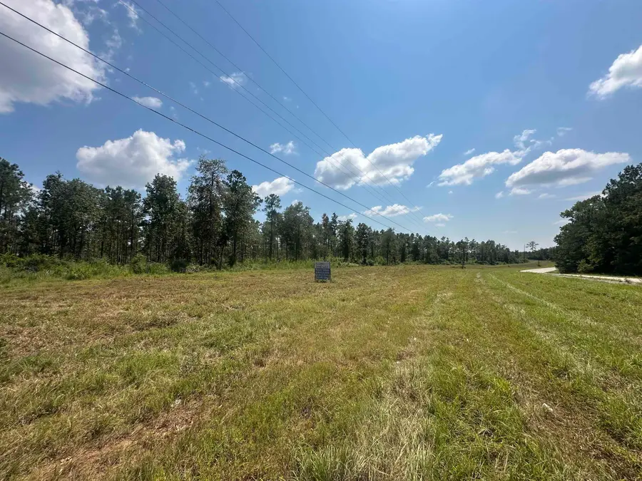 TBD FM 1005, Jasper, TX 75951 - #2
