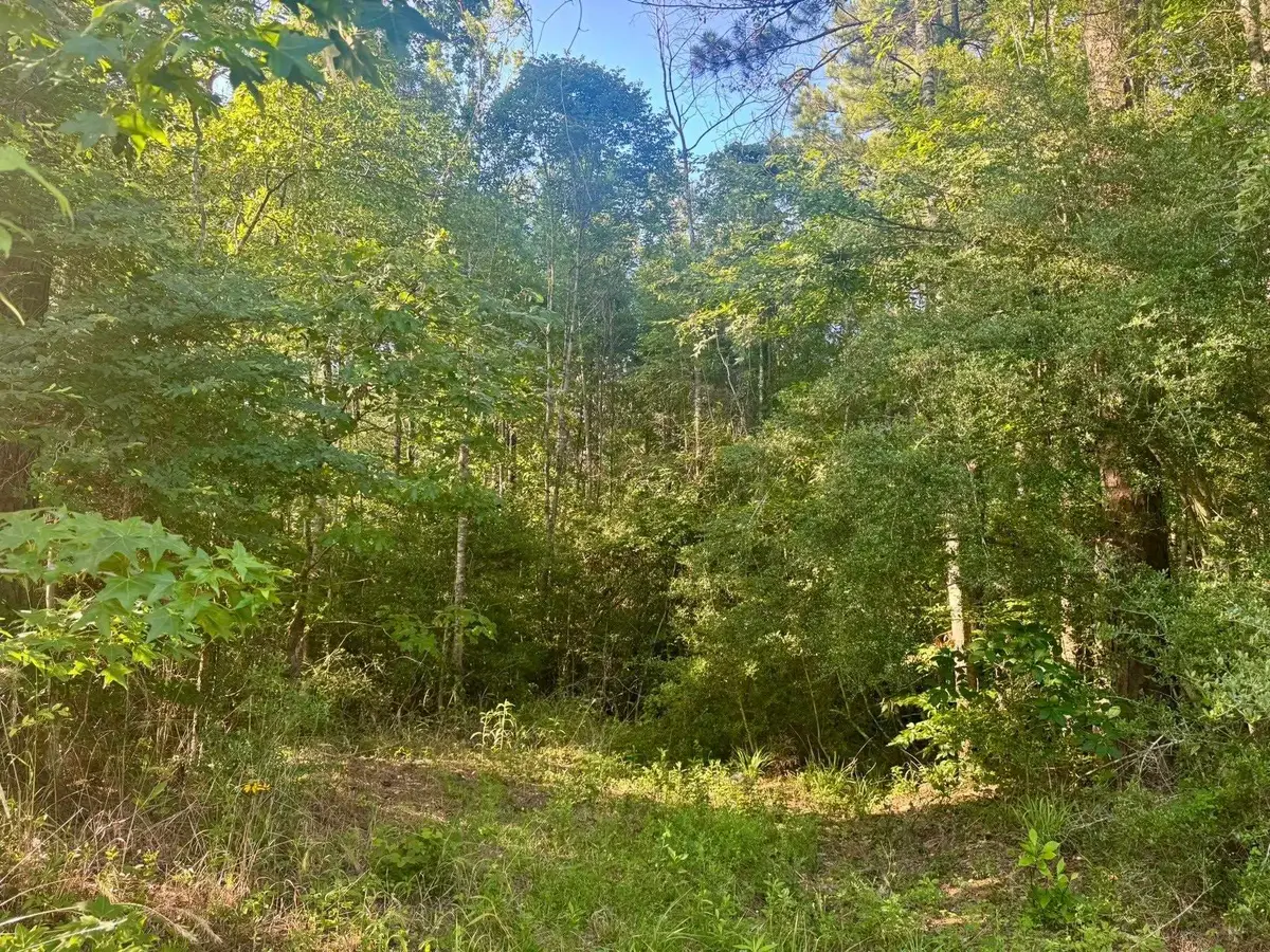 TBD County Road 1039, Burkeville, TX 75932-9999 - #1