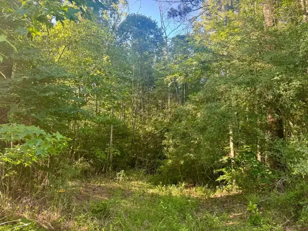 TBD County Road 1039, Burkeville, TX 75932-9999