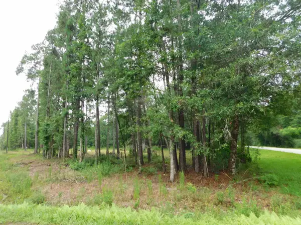 4783 BOB WHITE, Silsbee, TX 77656