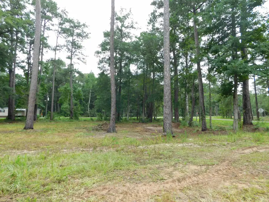4783 BOB WHITE, Silsbee, TX 77656 - #2