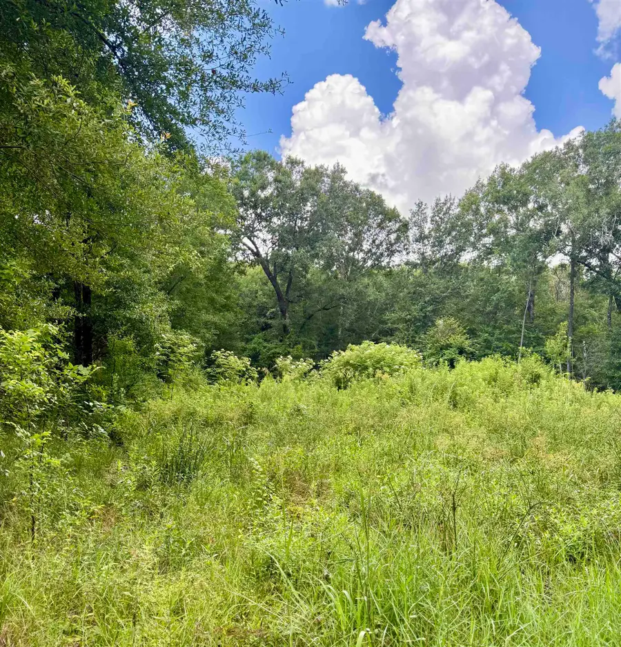 1000 Butler, Vidor, TX 77662 - #3