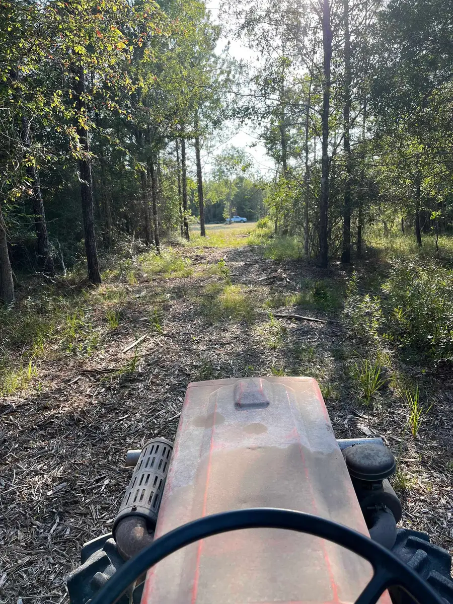 1655 CR 716, Buna, TX 77612 - #3