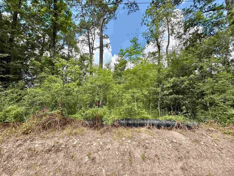 1030 Butler, Vidor, TX 77662 - #3
