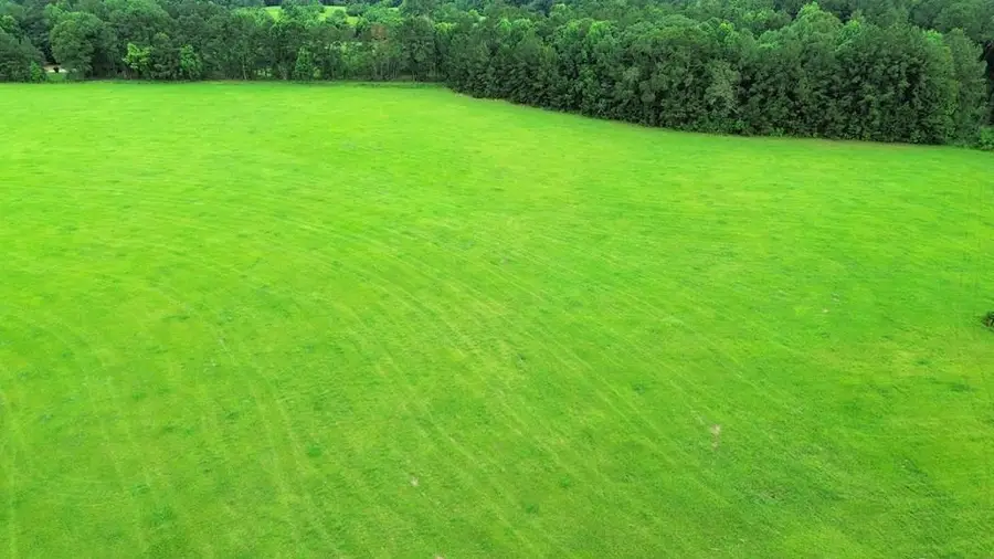 8AC CR 317, Kirbyville, TX 75956 - #2