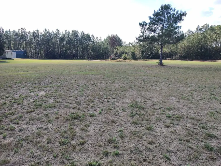 10019 Reed Ranch Rd, Silsbee, TX 77656 - #2