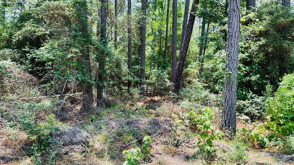 TBD Tobacco Rd, Brookeland, TX 75931 - #1