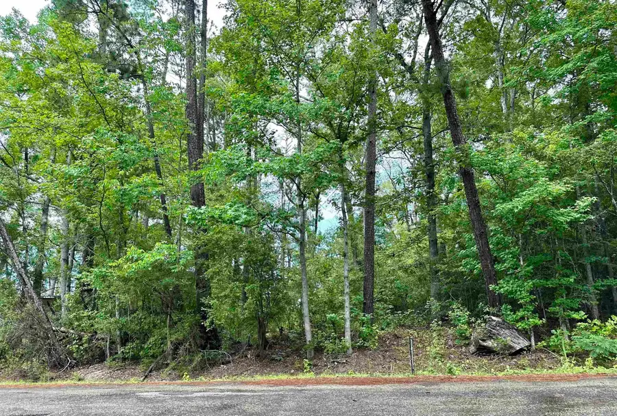 TBD Beechridge LP, Hemphill, TX 75948 - #2