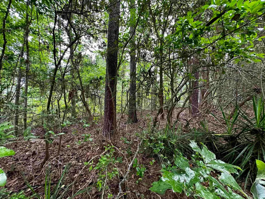 TBD Beechridge LP, Hemphill, TX 75948 - #3