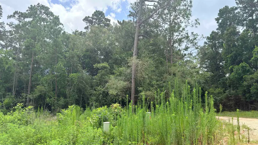LOT 1 MILLCREEK DRIVE, Woodville, TX 75979 - #2
