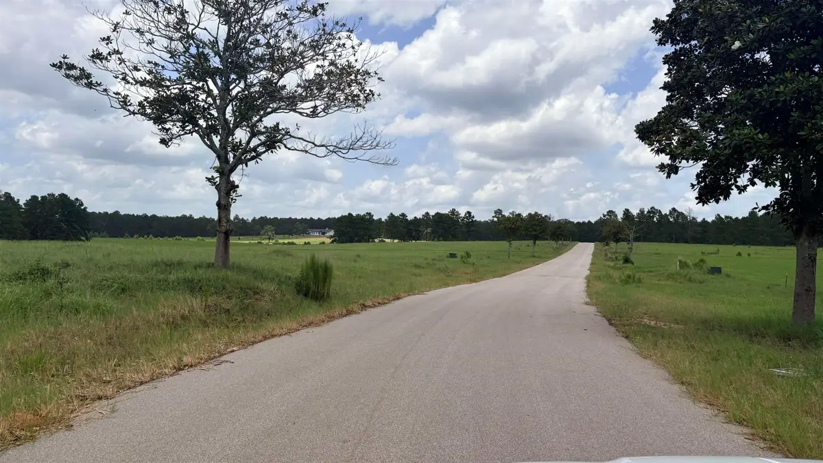 LOT 246 MEADOW VIEW DR, Hillister, TX 75979 - #1