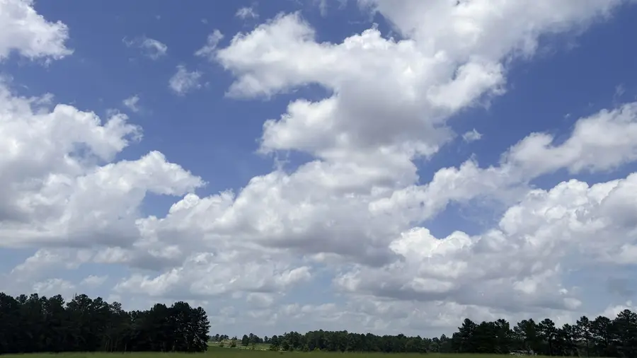 LOT 246 MEADOW VIEW DR, Hillister, TX 75979 - #2