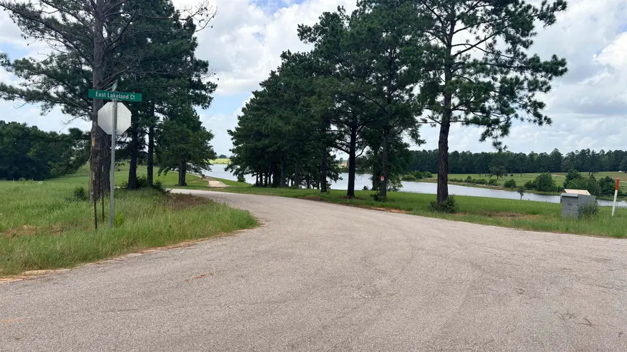 LOT 246 MEADOW VIEW DR, Hillister, TX 75979 - #3