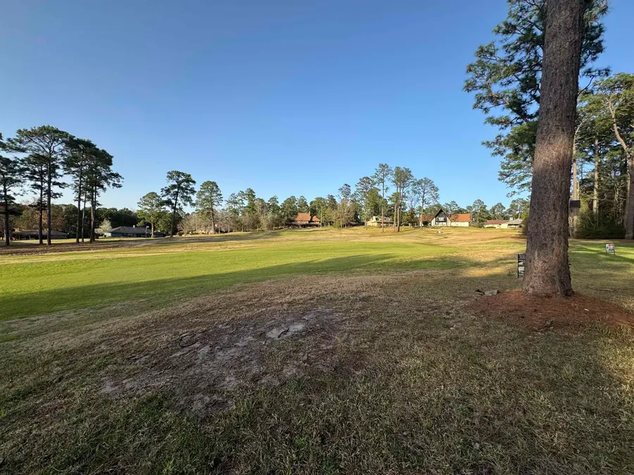 2550 Sam Rayburn PWY, Brookeland, TX 75931 - #2