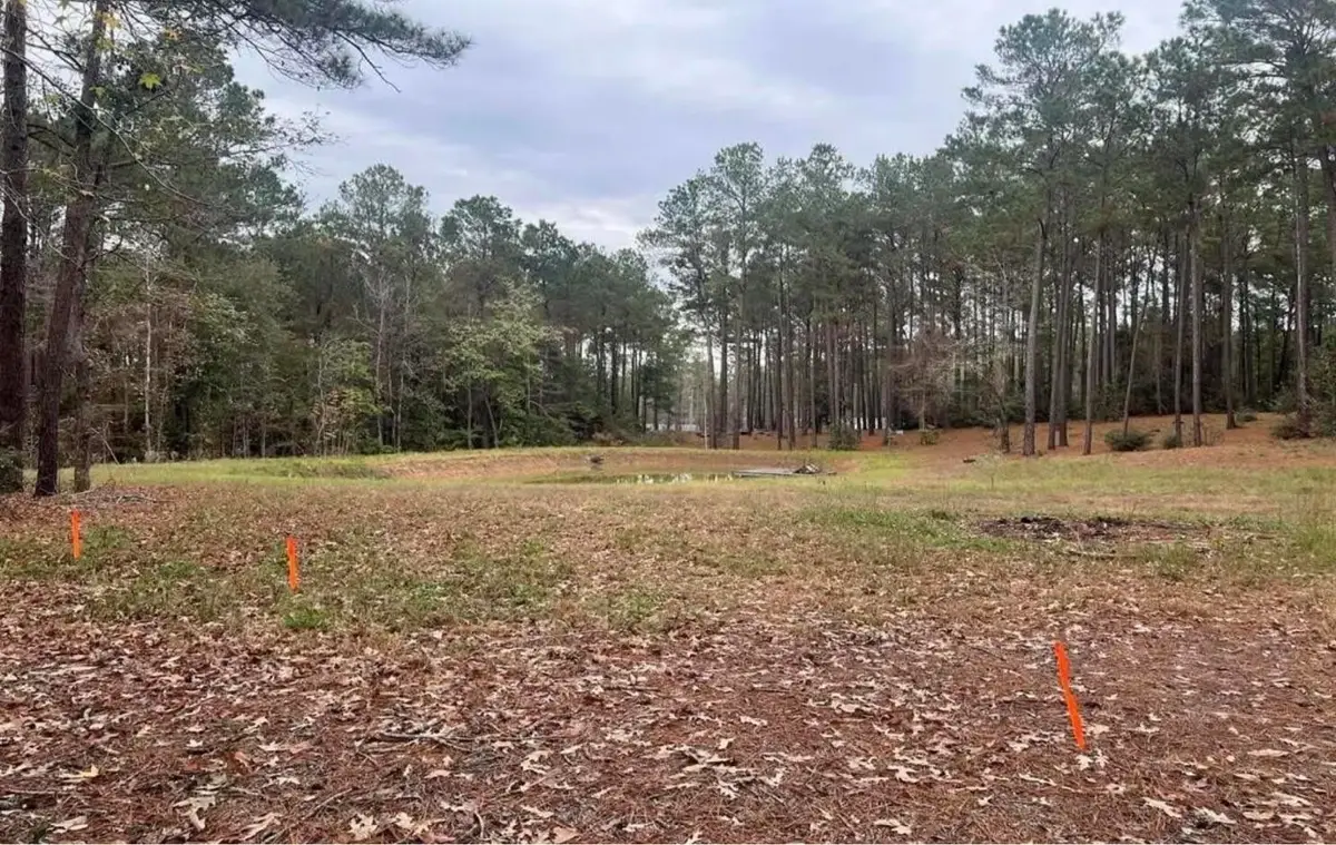 768 County Road 219, Brookeland, TX 75931 - #1