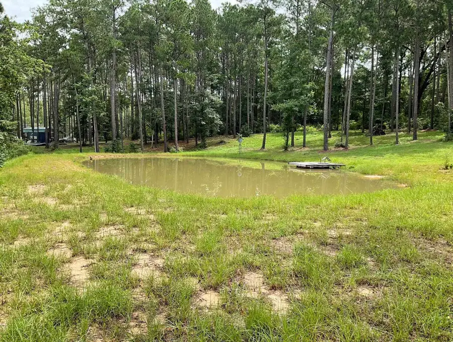 768 County Road 219, Brookeland, TX 75931 - #2