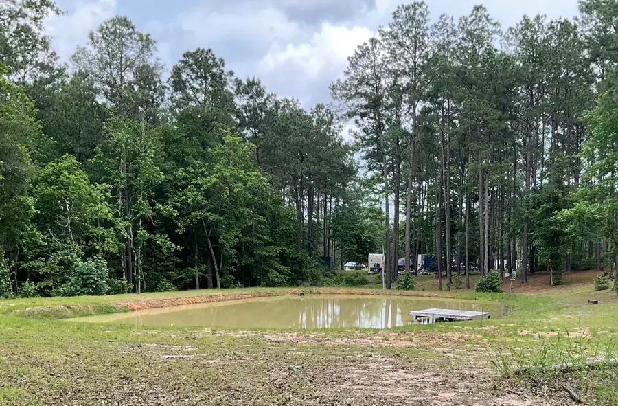 768 County Road 219, Brookeland, TX 75931 - #3