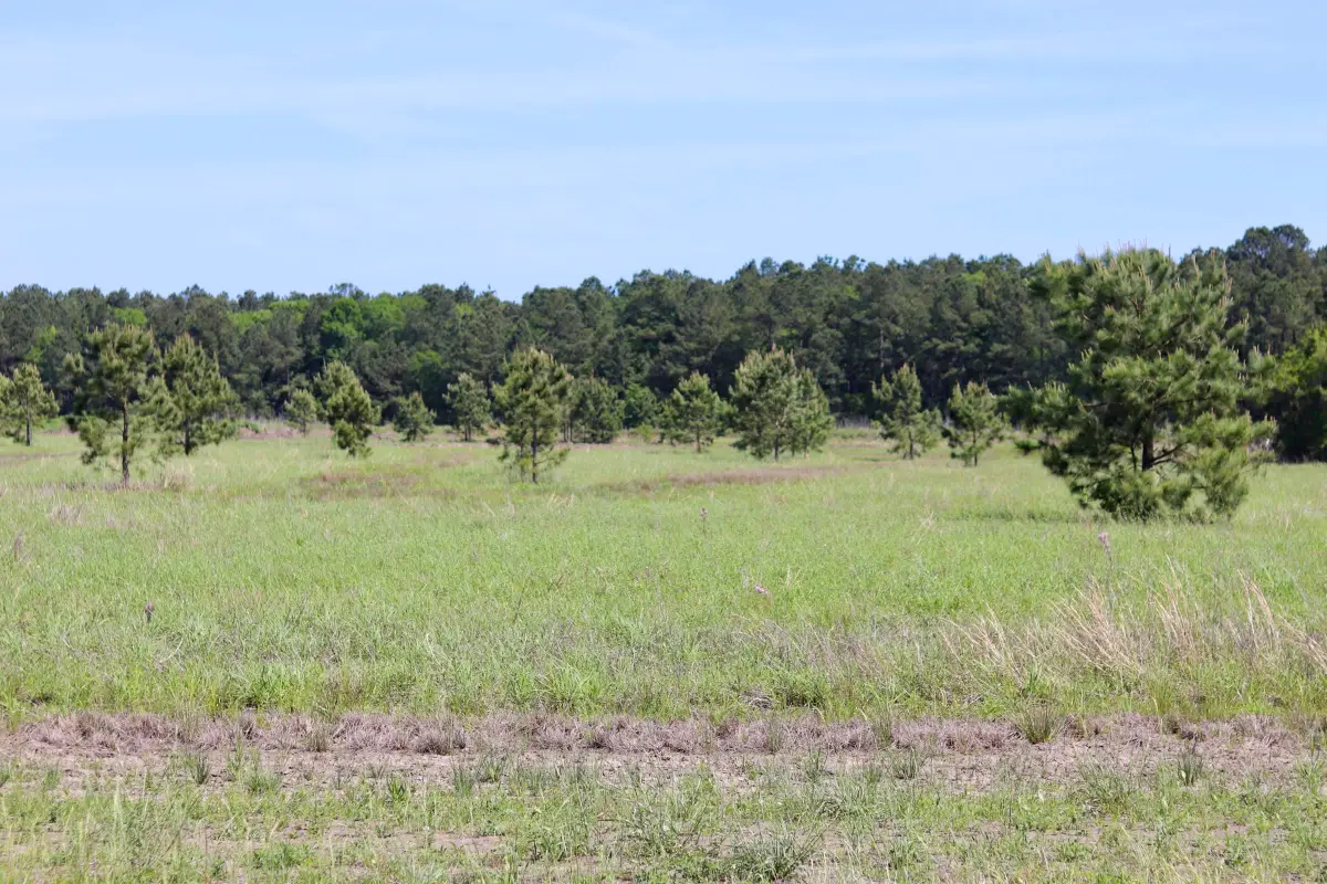 27480 Hwy 365, Beaumont, TX 77705 - #1