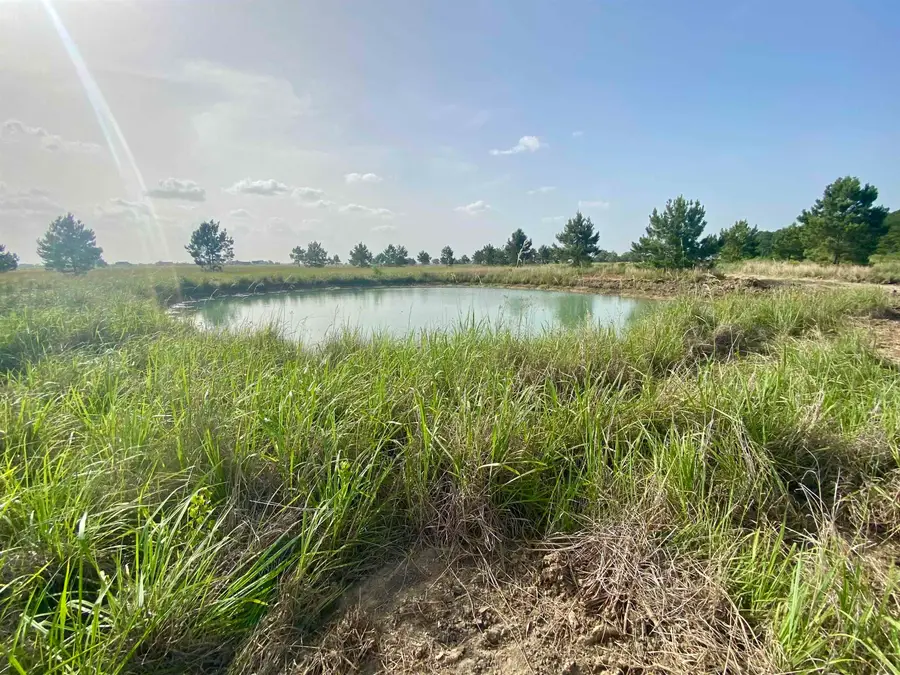 27480 Hwy 365, Beaumont, TX 77705 - #2