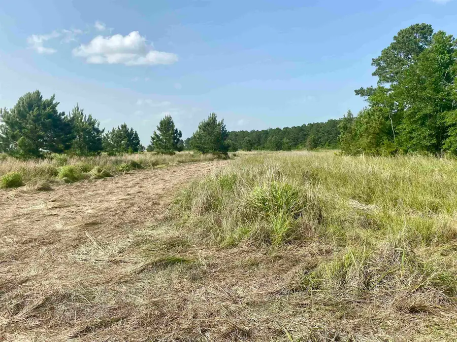 27480 Hwy 365, Beaumont, TX 77705 - #3