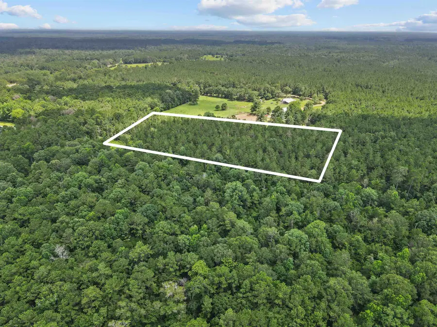 4012 FM 2992, Woodville, TX 75979 - #2