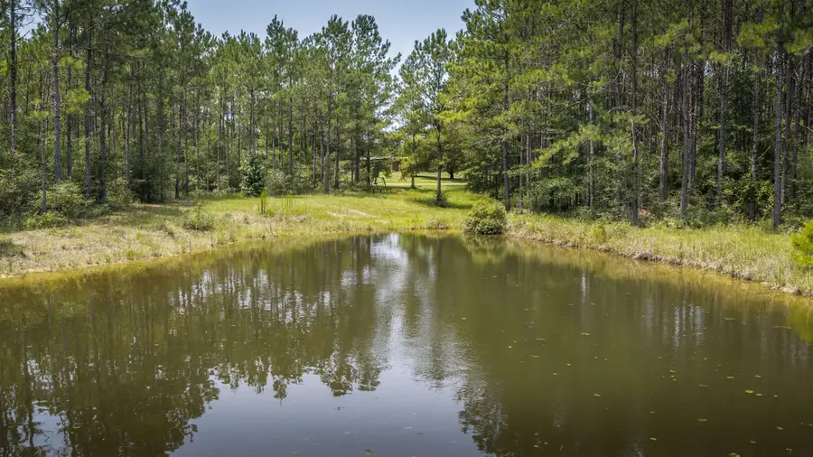 14912 US 287 North, Village Mills, TX 77625 - #2