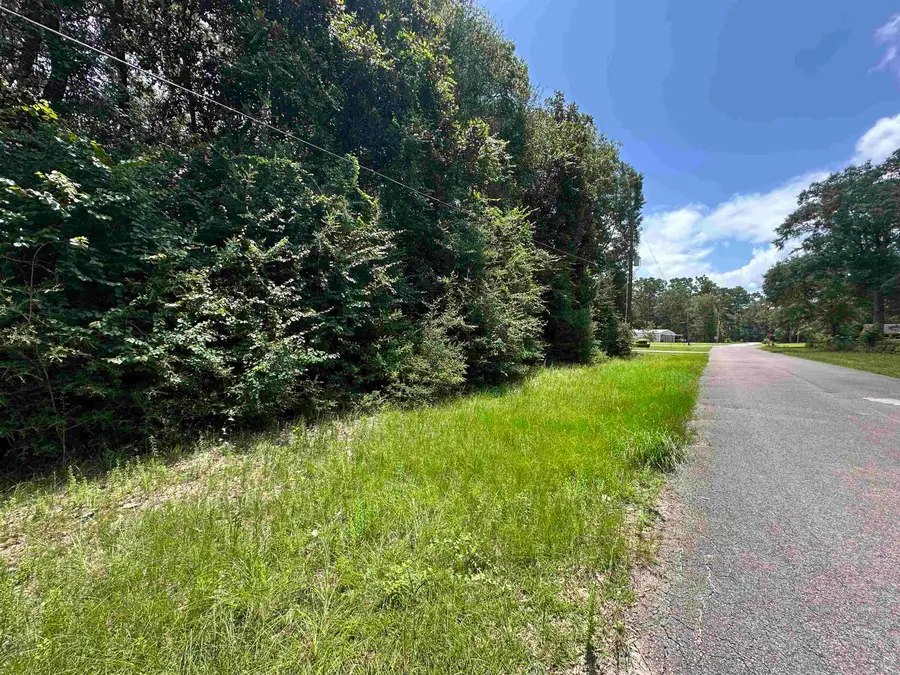 Lot 4 Fuller Rd, Silsbee, TX 77656 - #2