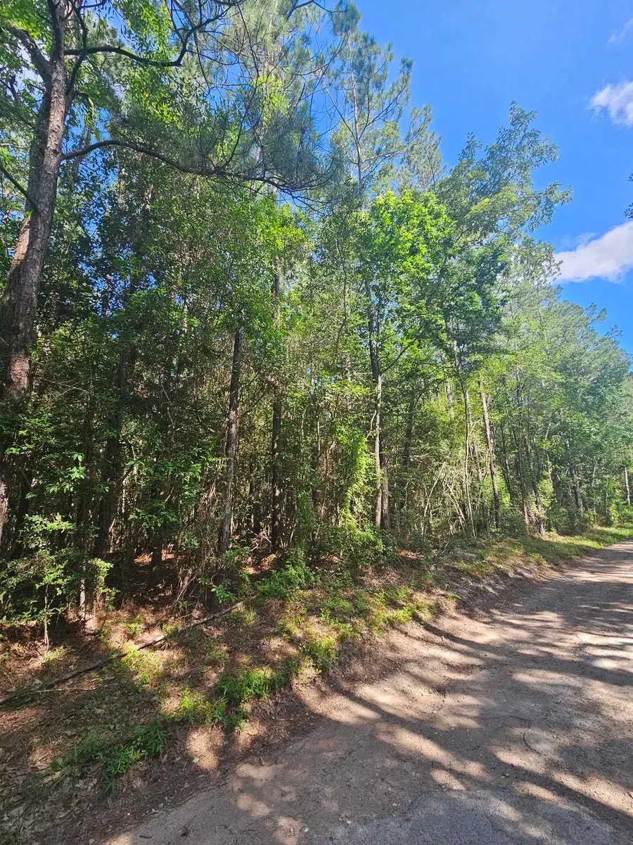 00 Gandy, Kountze, TX 77625 - #2