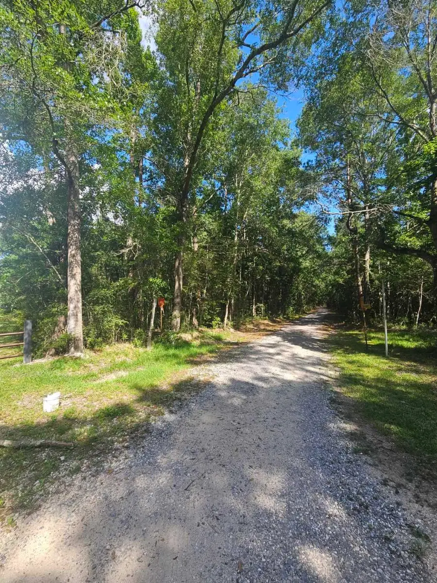 00 Gandy, Kountze, TX 77625 - #3