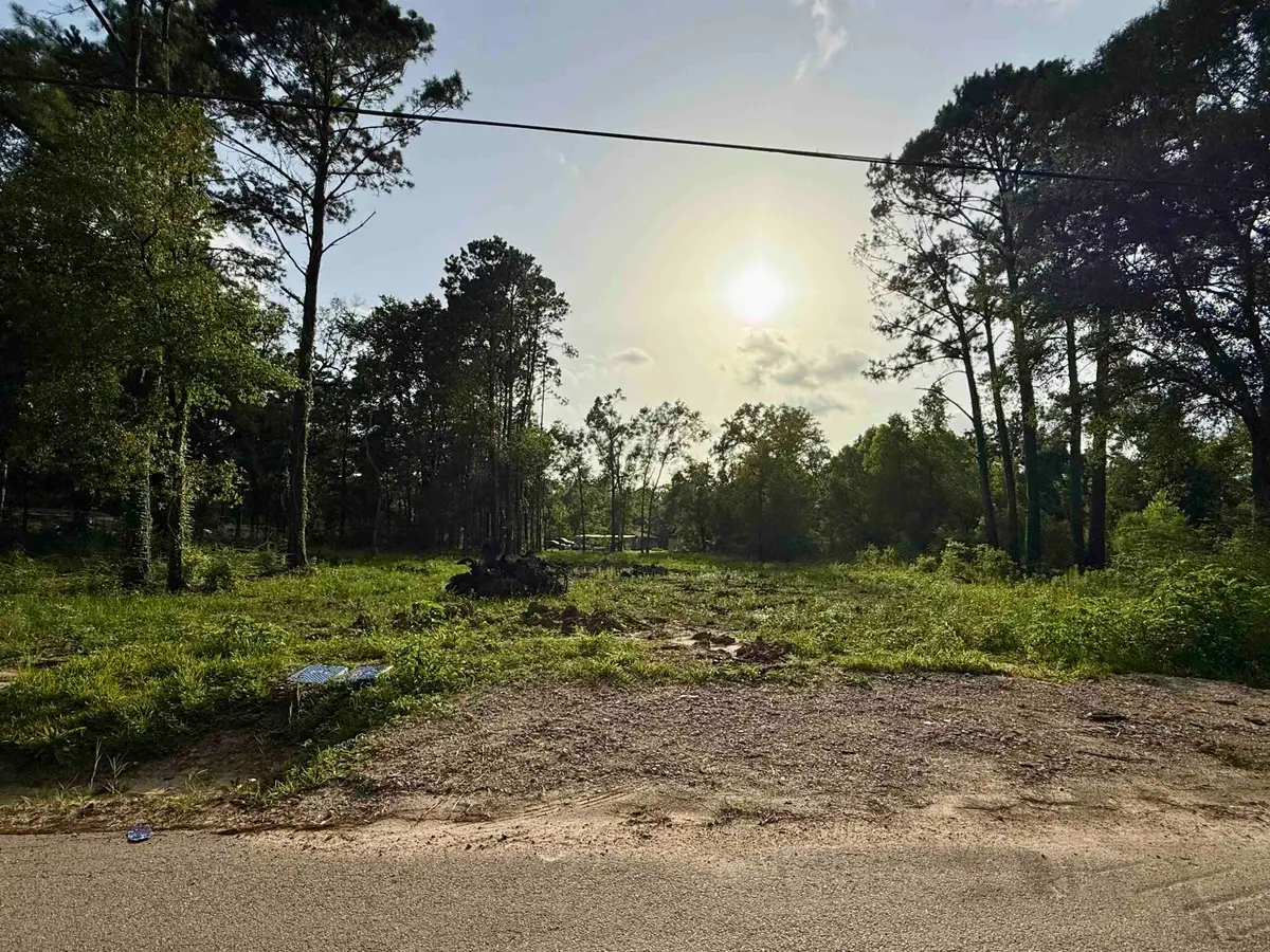 11895 Cooks Lake Road, Lumberton, TX 77657 - #1