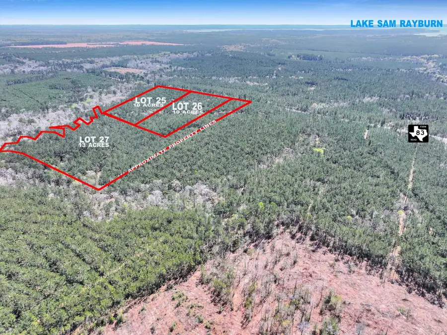 002 FM 83, Bronson, TX 75930 - #3