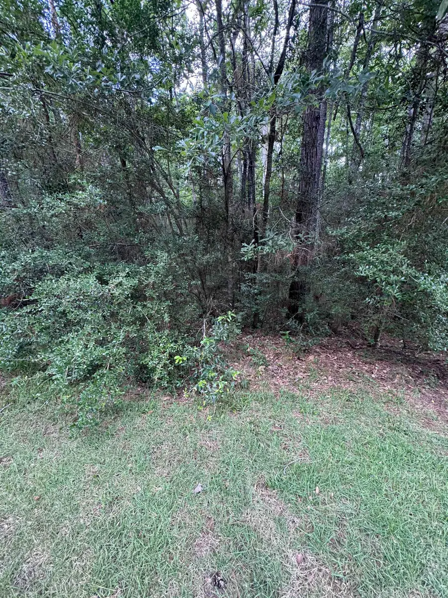 TBD Champions Way, Brookeland, TX 75931 - #2