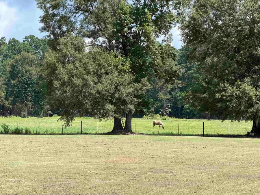 7816 McDonald Ln., Silsbee, TX 77656 - #3