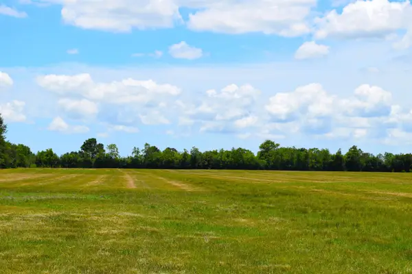 13595 Coon Rd, Winnie, TX 77665