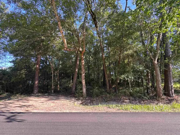 960 Lyndale, Vidor, TX 77661