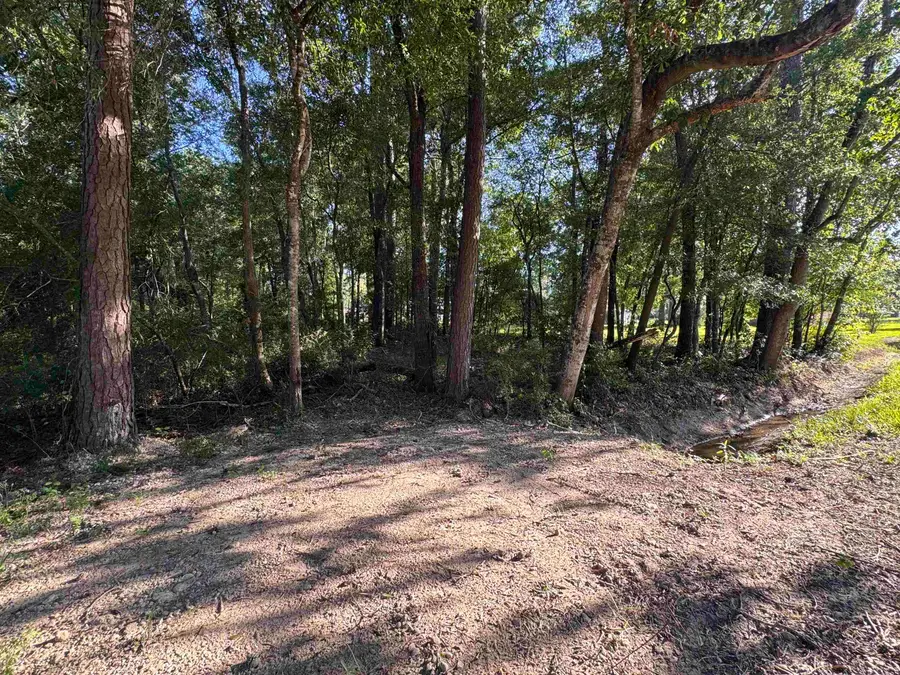 960 Lyndale, Vidor, TX 77661 - #3