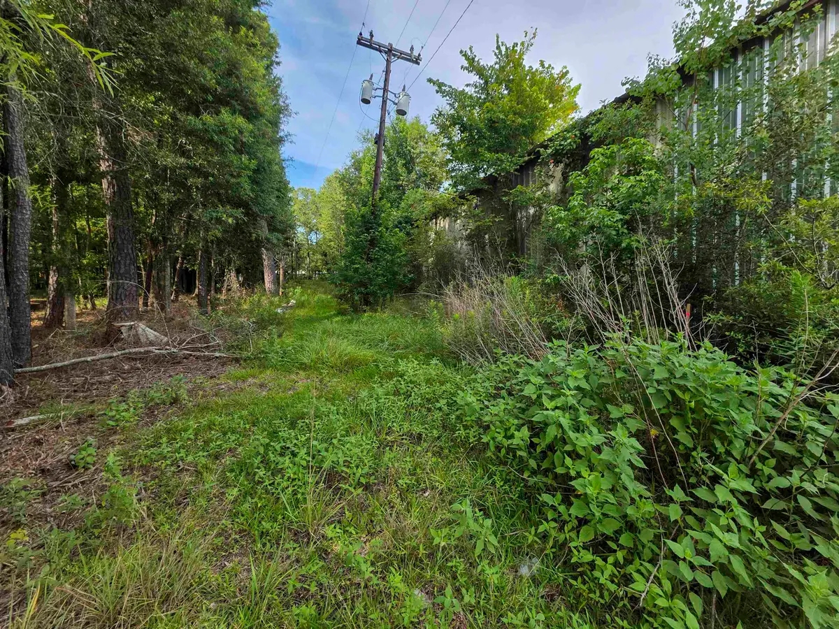 100 Block CR 853, Evadale, TX 77612 - #1